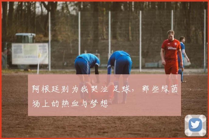 阿根廷别为我哭泣 足球,那些绿茵场上的热血与梦想